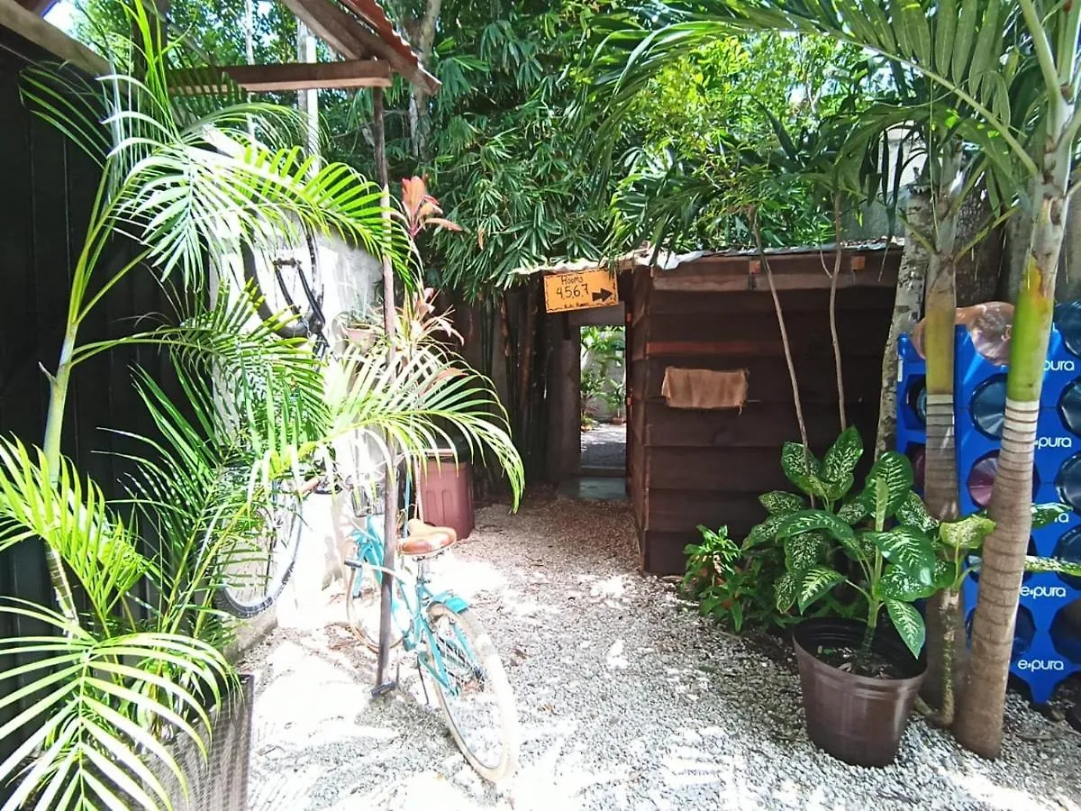 ** Maison d'hôtes Primitive Rooms Tulum Selfcheck-In Adults Only Mexique