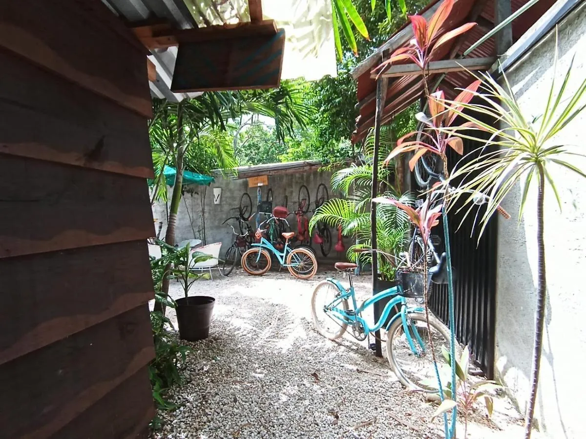 Primitive Rooms Tulum Selfcheck-In Adults Only